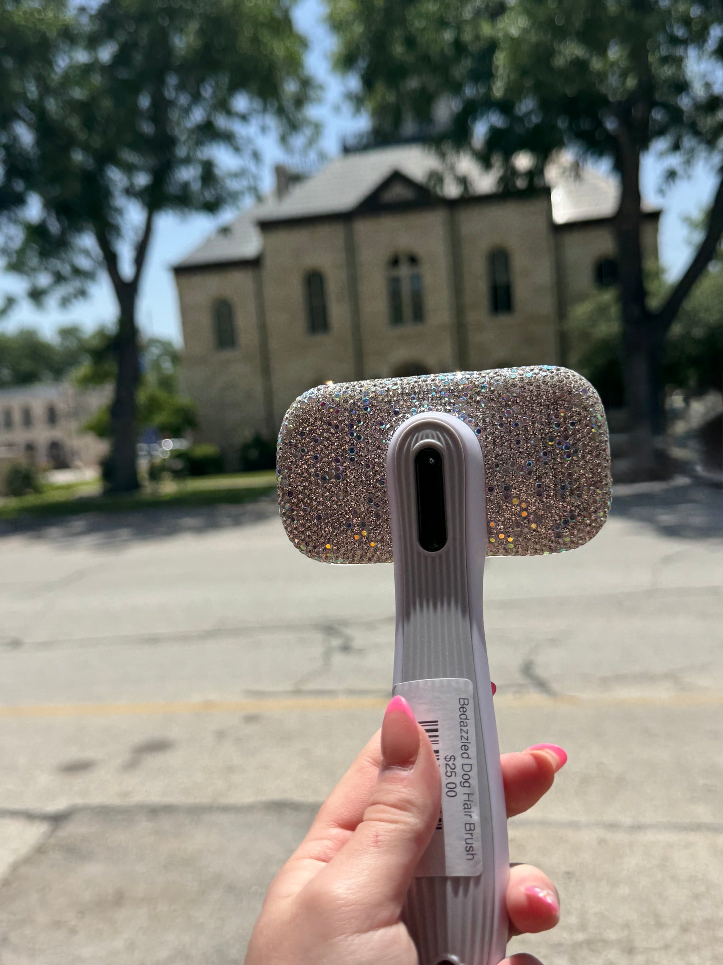 Bedazzled Dog Hair Brush