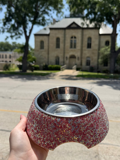 Bedazzled Dog bowls