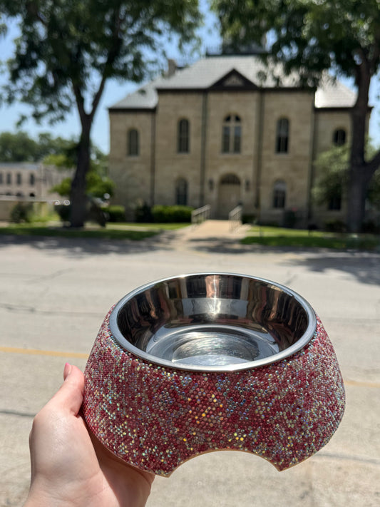 Bedazzled Dog bowls