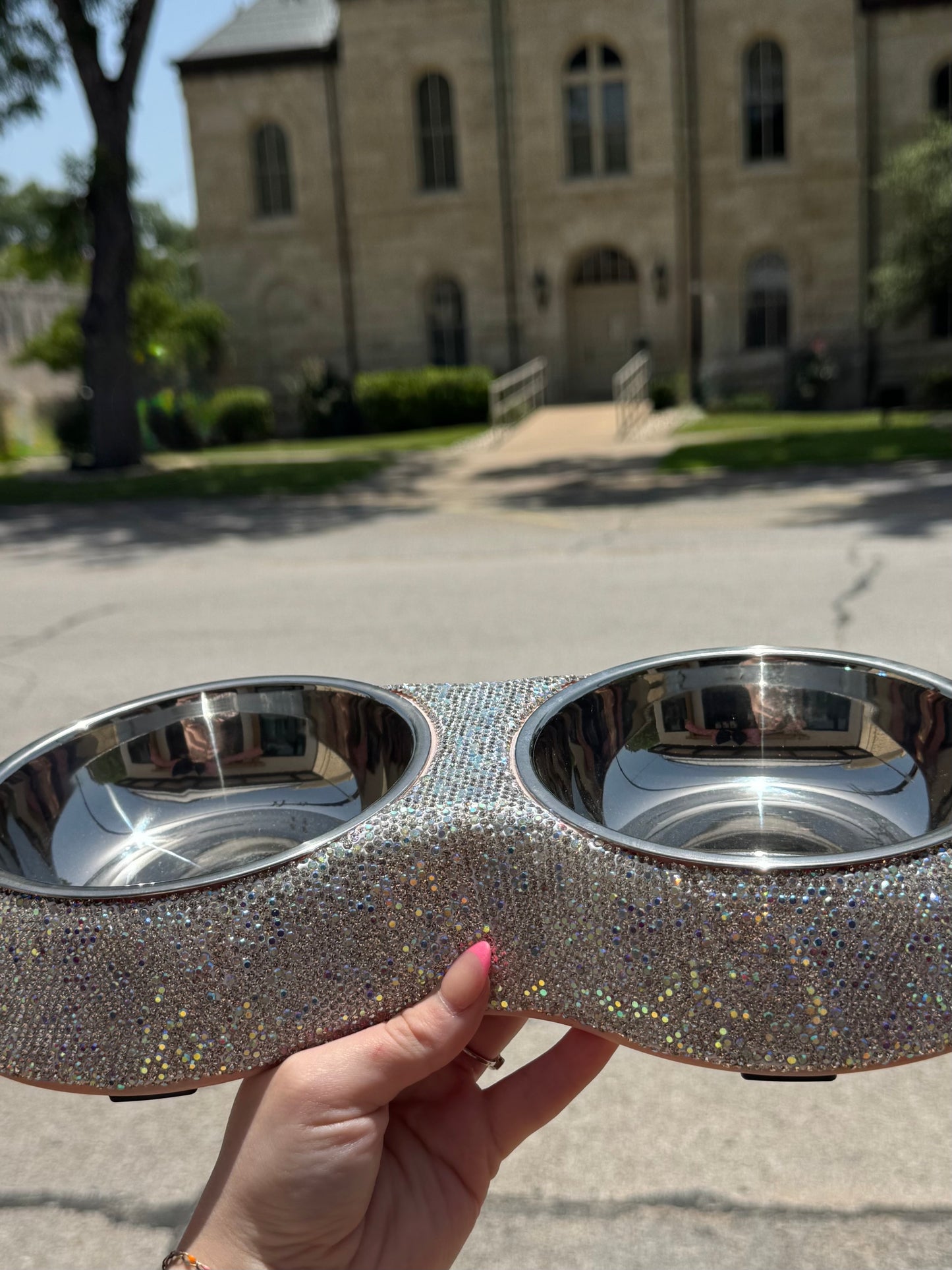 Bedazzled Double Dog Bowls