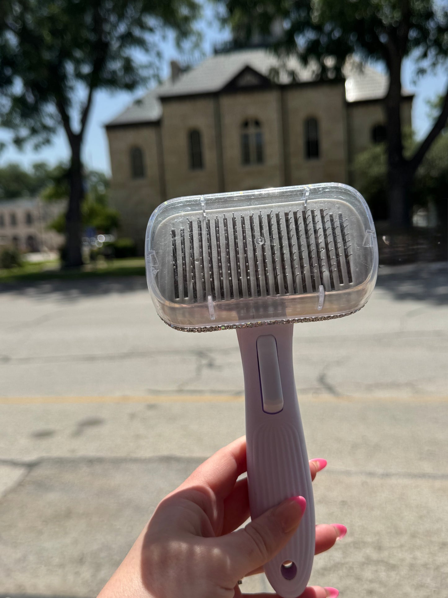 Bedazzled Dog Hair Brush