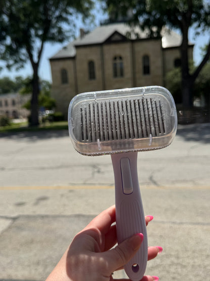 Bedazzled Dog Hair Brush