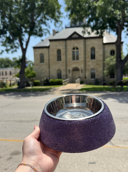 Bedazzled Dog bowls