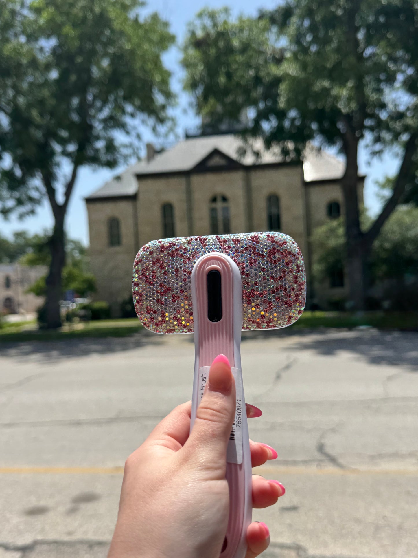 Bedazzled Dog Hair Brush