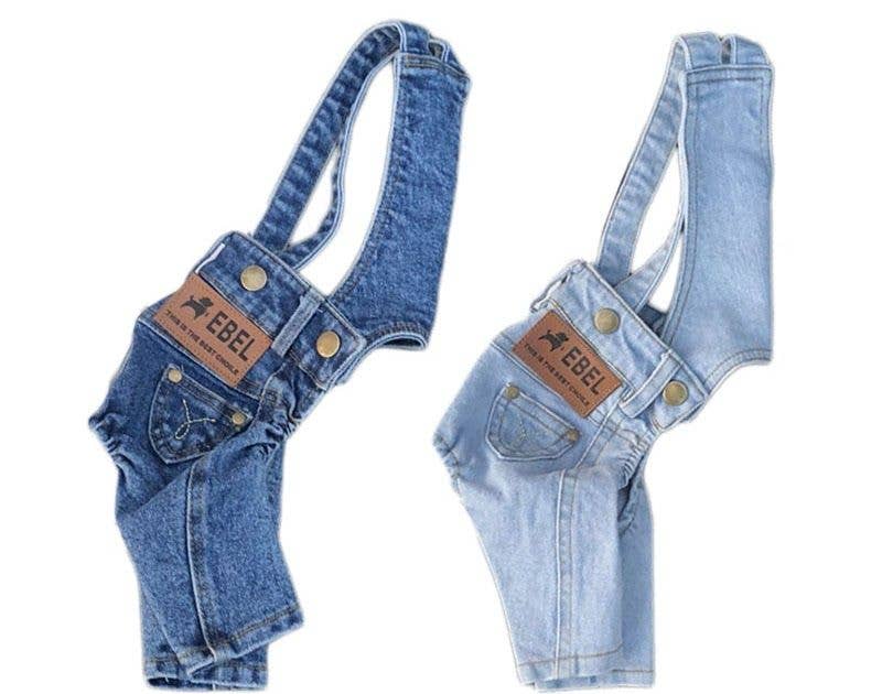 Denim Jumpsuit for Small Pets: Light Blue / L