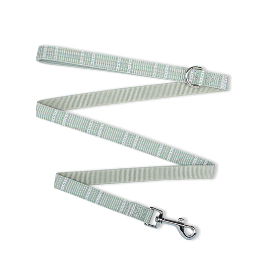 Dusty Sage Dog Leash
