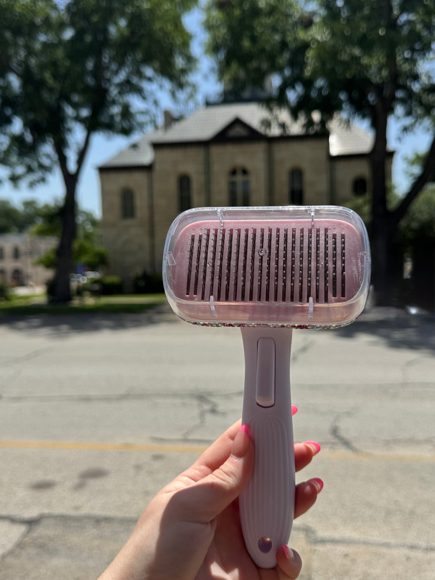 Bedazzled Dog Hair Brush
