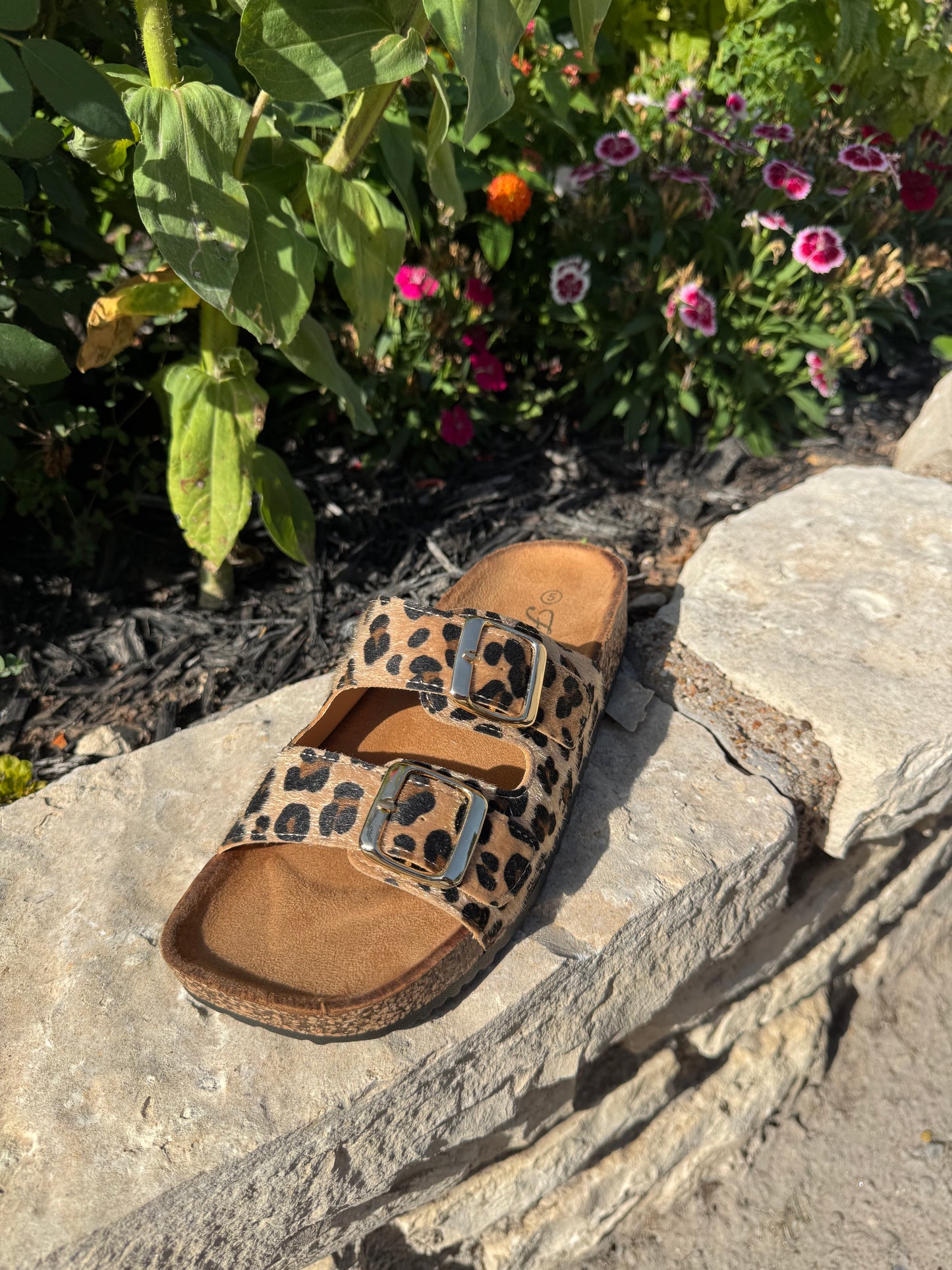 Leopard Slides