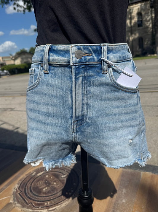 High RIse Distressed Shorts