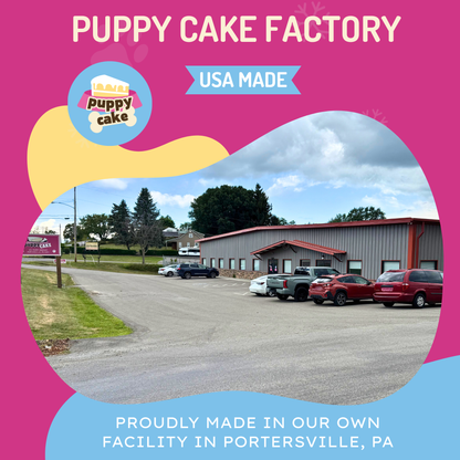Puppy Cake - Dog Birthday with Pupfetti Sprinkles