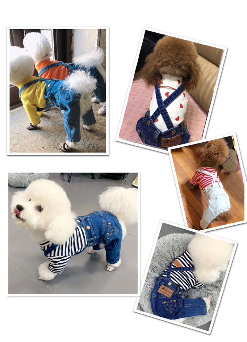Denim Jumpsuit for Small Pets: Light Blue / L